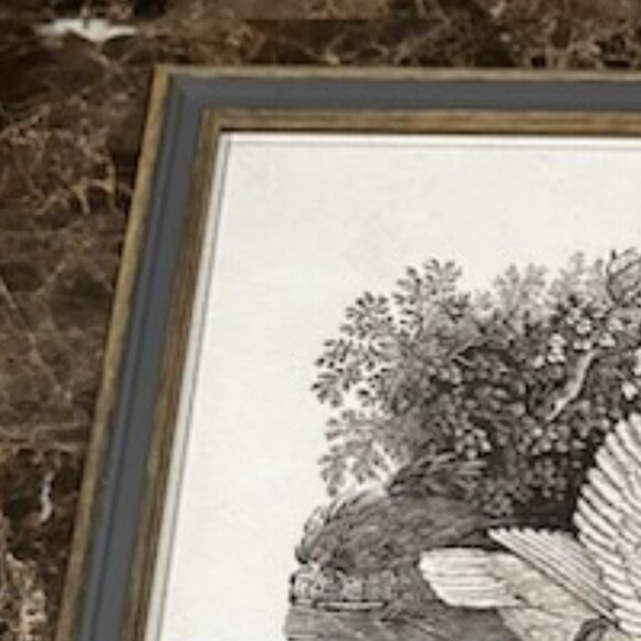 NWT Vintage Swan Print Art Nursery Decor Bird Etching Farmhouse Cottagecore - Picture 6 of 10